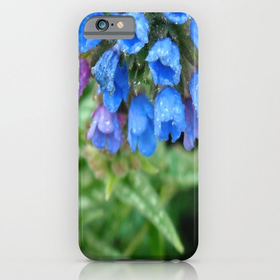 Bluebell iPhone & iPod Case