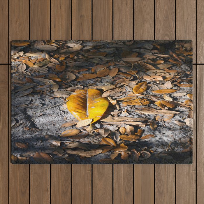 Evening Leaves Fallen on the Path . . .  Outdoor Rug