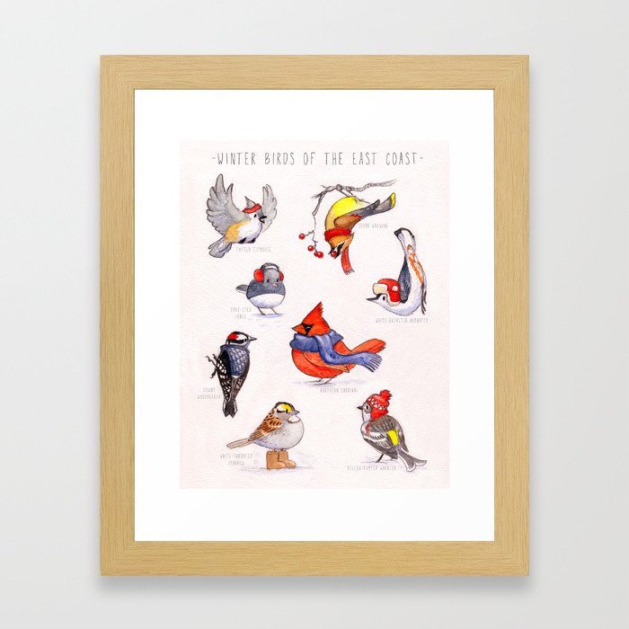Winter Birds of the East Coast Framed Art Print