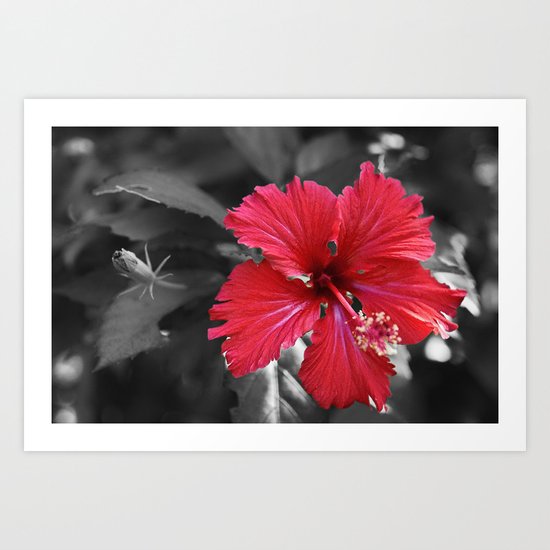 Color my Garden Red Art Print