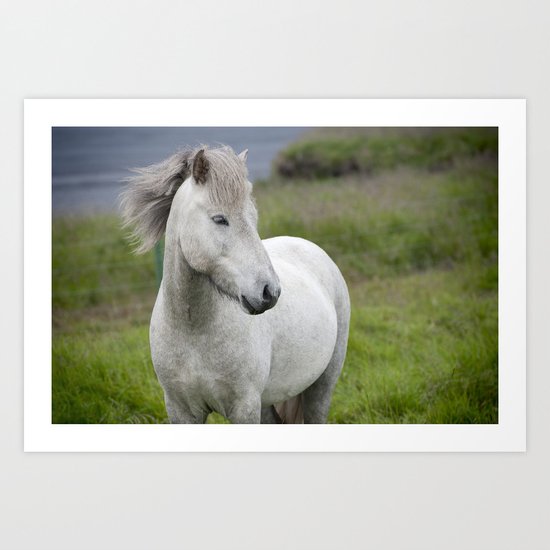 Horse Art Print