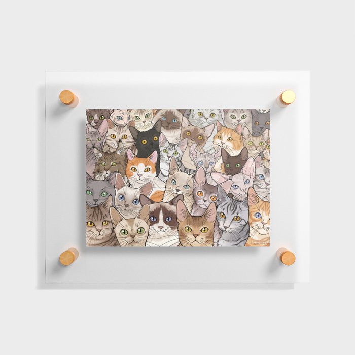 A lot of Cats Floating Acrylic Print
