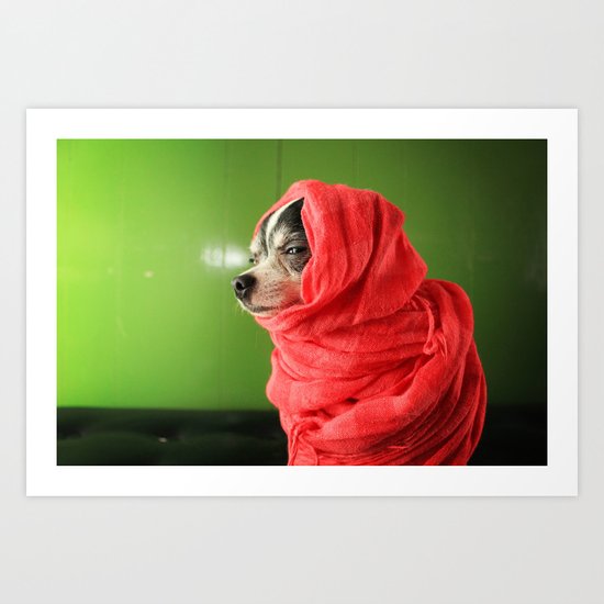 I liked them before they went mainstream Art Print