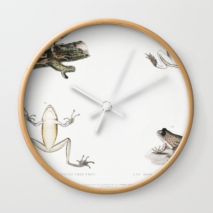 Spotted Tree Frog & Bengal Frog Wall Clock