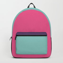 Color Blocked Backpack