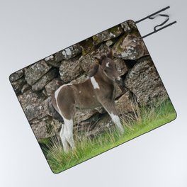 Dartmoor Foal Picnic Blanket