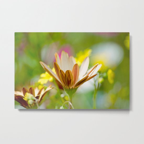 Pastel Meadow Metal Print