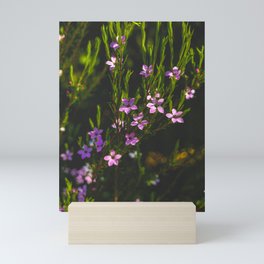 Flowers at Sunset Mini Art Print