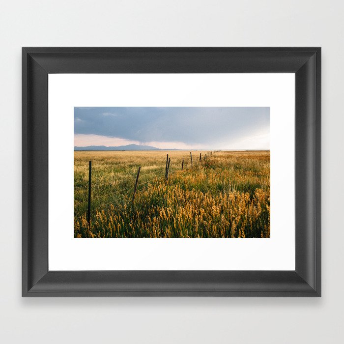 Golden Fields of Colorado Framed Art Print