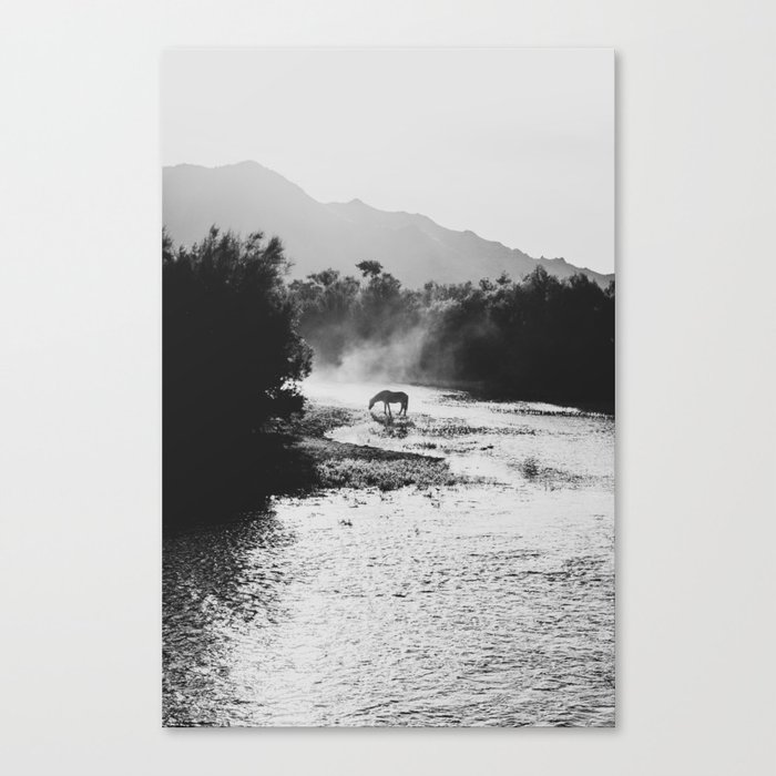 Black & White Arizona Wild Horse along the Salt River Mountains Canvas Print