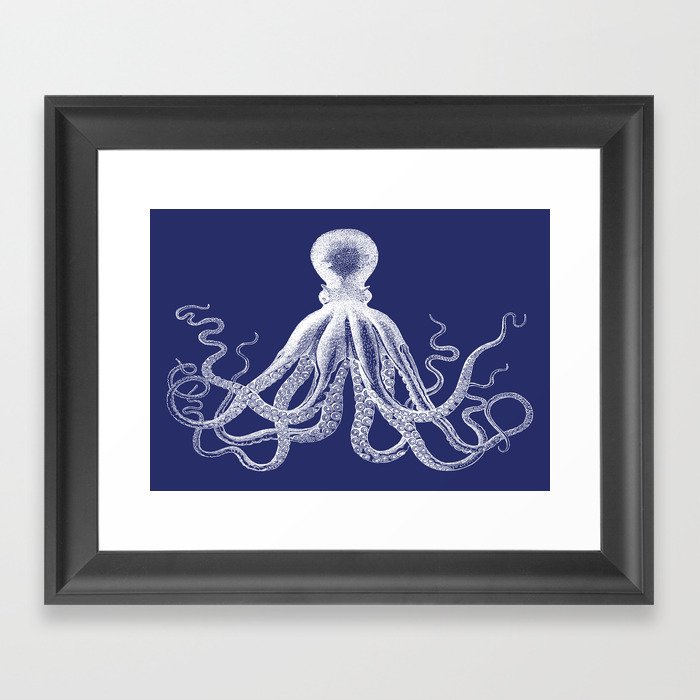 octopus navy blue and