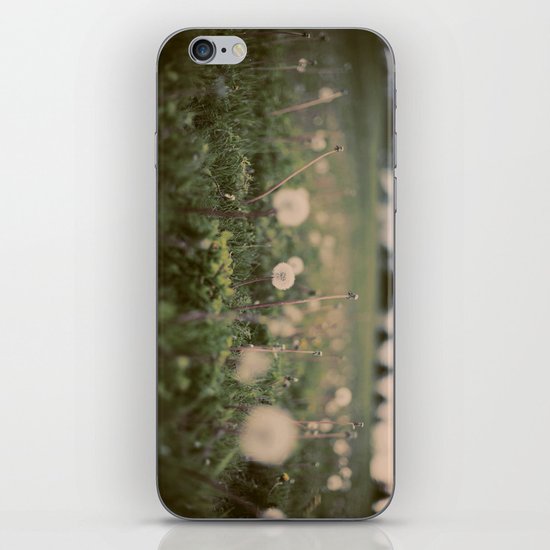 Forgotten Wishes iPhone & iPod Skin