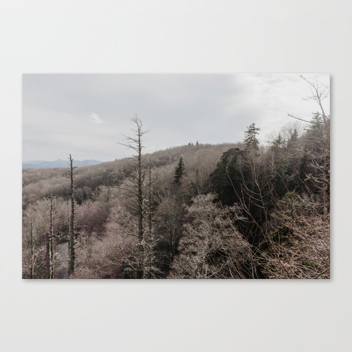 forest in winter	 Canvas Print