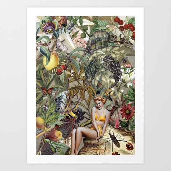 BOMBUS TERRESTRIS Art Print
