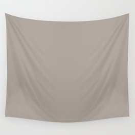 Mid-tone Neutral Brown Taupe Solid Color Pairs with Sherwin Williams Angora SW6036 Wall Tapestry