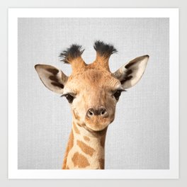 Baby Giraffe - Colorful Art Print