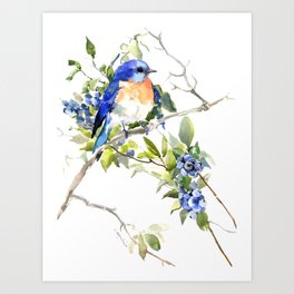 Watercolor Birds Art Prints For Any Decor Style | Society6
