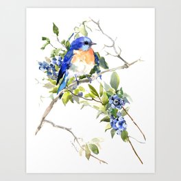 Watercolor Birds Art Prints For Any Decor Style | Society6