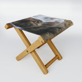 CATS Folding Stool