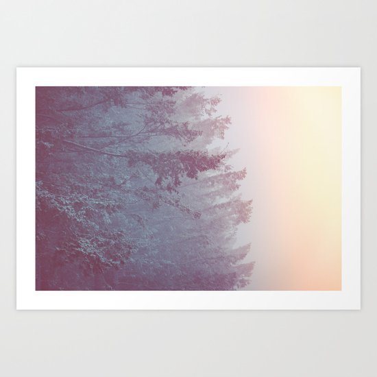 Forest Fog - Snowy Mountain Trees at Sunset Art Print