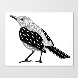 Black bird Canvas Print