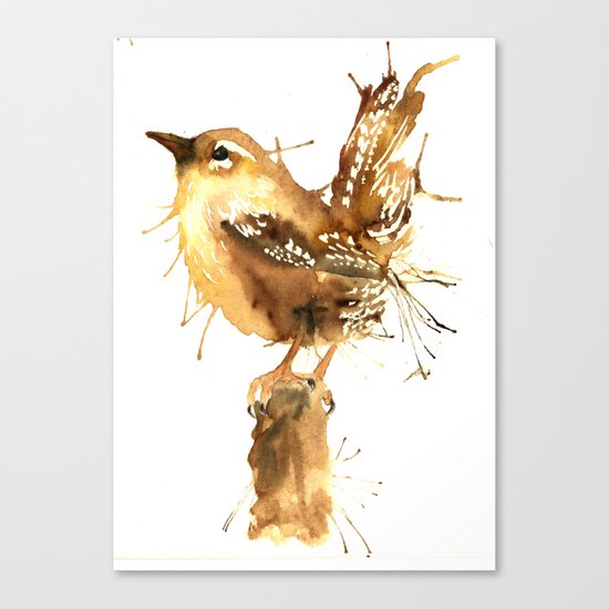 Mr Wren Canvas Print