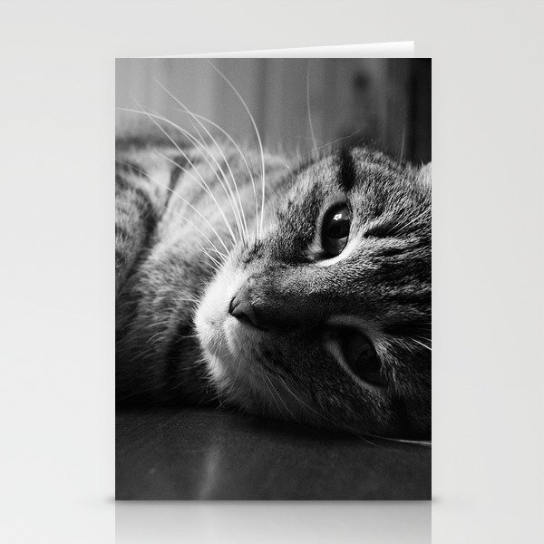 Table Top Kitty Stationery Cards