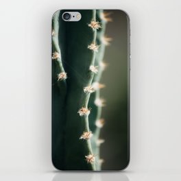 Cactus Spines iPhone Skin