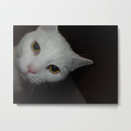 Peek a Boo Metal Print