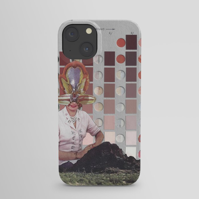 Munsell Soil Color Chart 5 iPhone Case