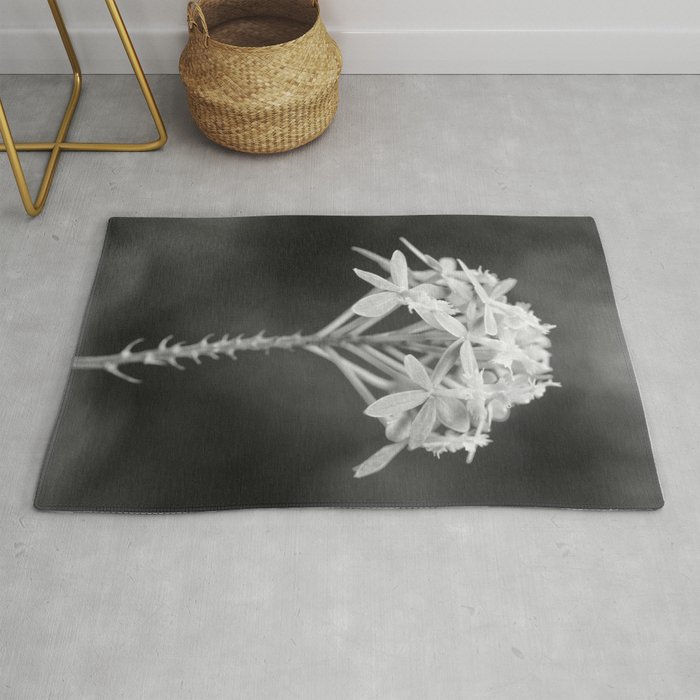 Black And White Orchid Flower Photography Epidendrum Radicans Rug