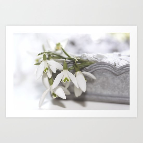 Snowdrops still life - Flower Floral Flowers #Society6 Art Print