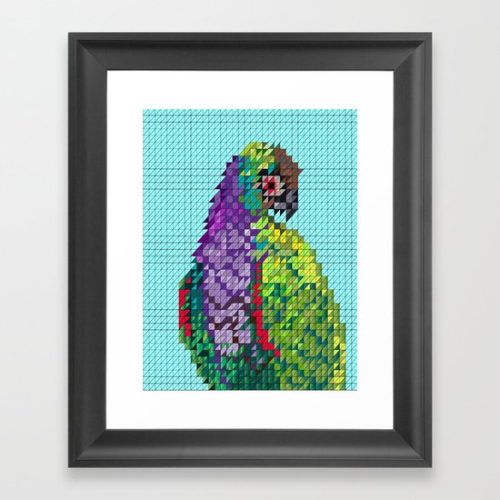 Parrot Framed Art Print