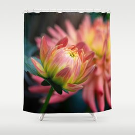 Beauty In Petals  Shower Curtain