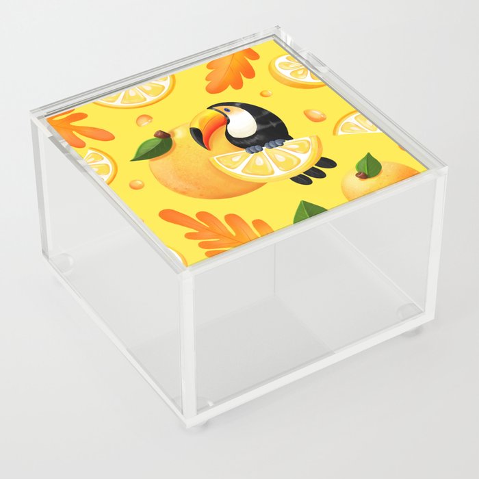 Tropical Toucan Acrylic Box