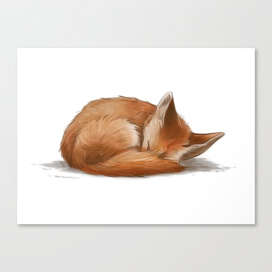 Let Sleeping Foxes Lie Canvas Print