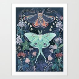Luna Moth Kunstdrucke