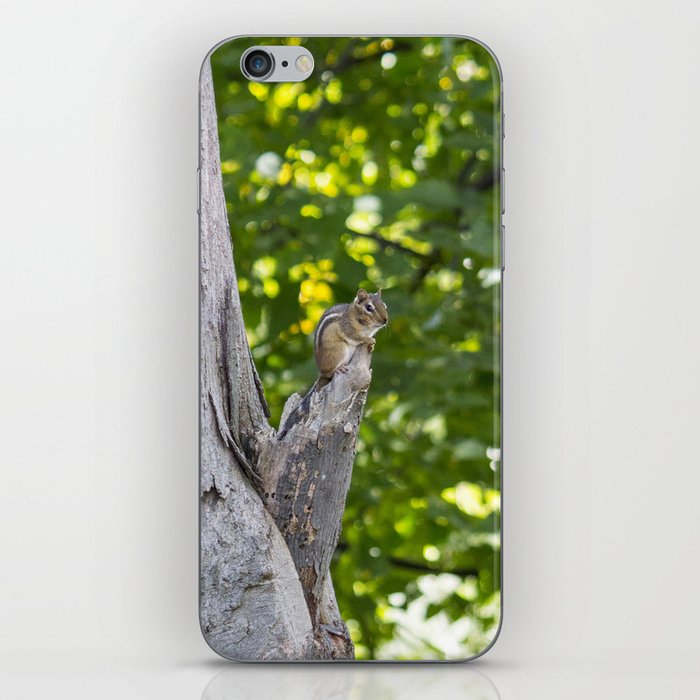 Chipmunk on a Tree iPhone Skin