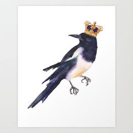 Magpie Monarch Art Print