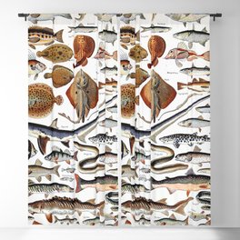 Adolphe Millot - Poissons B - French vintage nautical poster Blackout Curtain