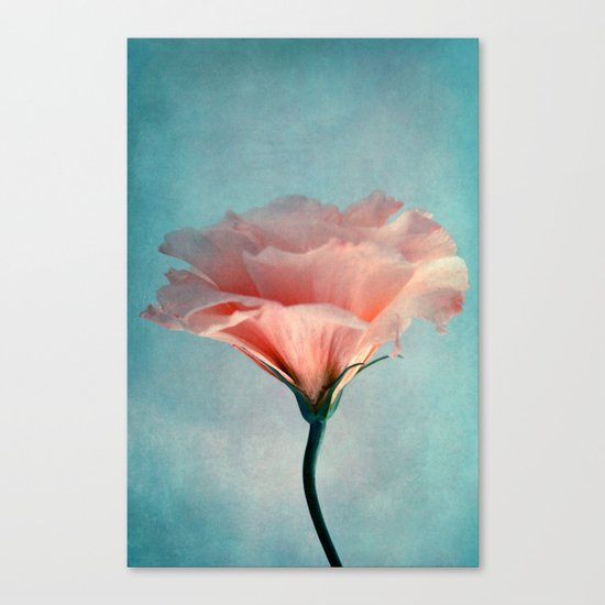 agréable Canvas Print