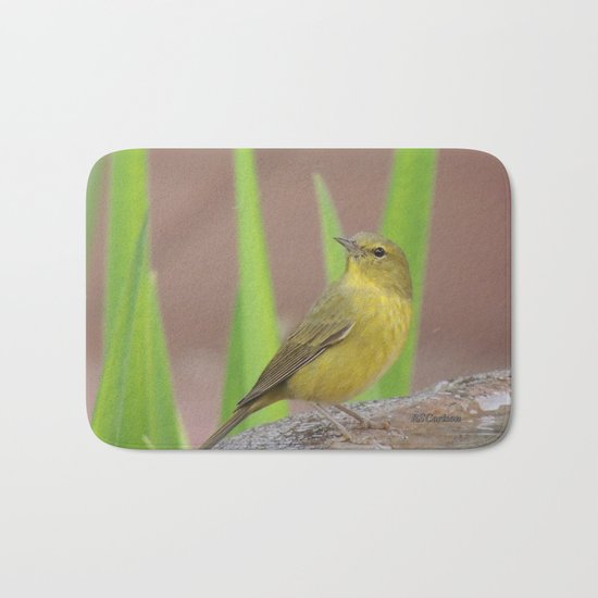 Yellow Warbler at the Fountain Bath Mat