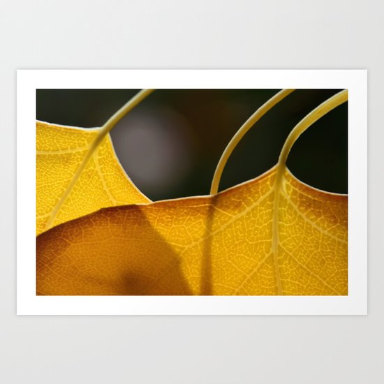 Autumn Veins Art Print