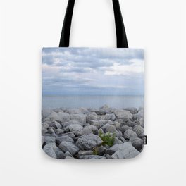 Rocks on Lake Michigan shore. Tote Bag