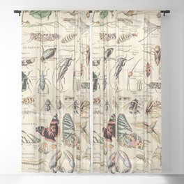 Vintage Insect Identification Chart // Arthropodes by Adolphe Millot XL 19th Century Science Artwork Sheer Curtain