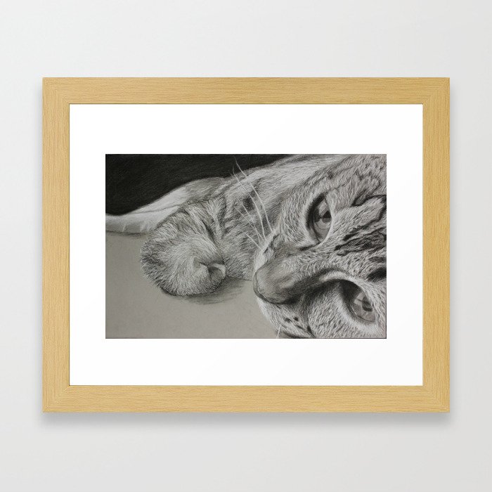 Charcoal Cat Framed Art Print