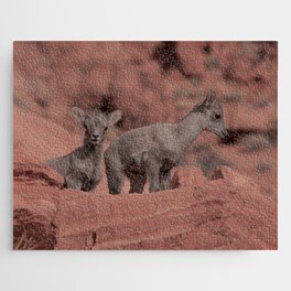 Twin Baby Desert Bighorn Sheep 0926 - Valley of Fire, Nevada Jigsaw Puzzle