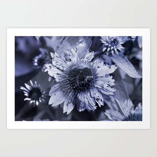 Summer Fun from ETERNAL Art Print