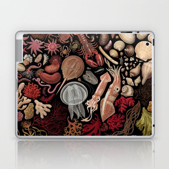 Intertidal Life of the North Atlantic (with species list) Laptop & iPad Skin
