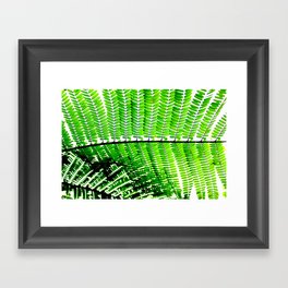 Leafy Greens Framed Art Print